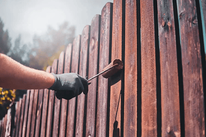 professional house painting in Medford